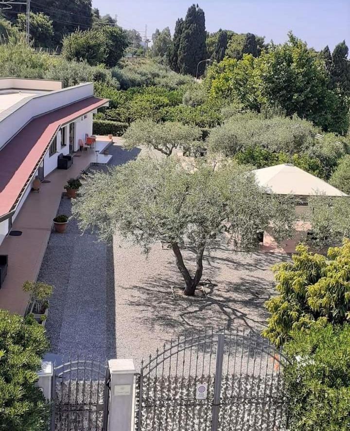 B&B Il Giardino Di Zefiro Gioiosa Marea Exteriör bild