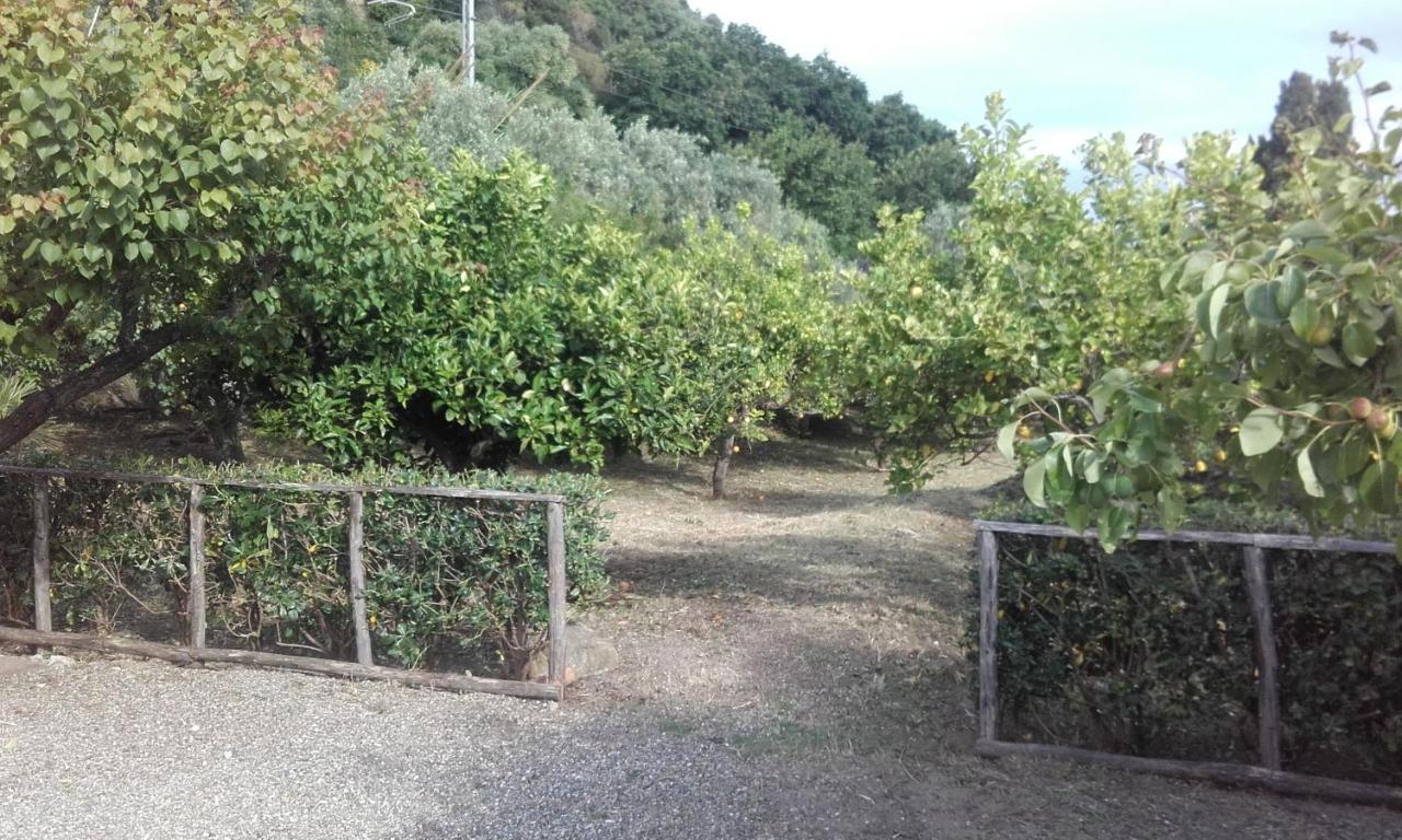 B&B Il Giardino Di Zefiro Gioiosa Marea Exteriör bild