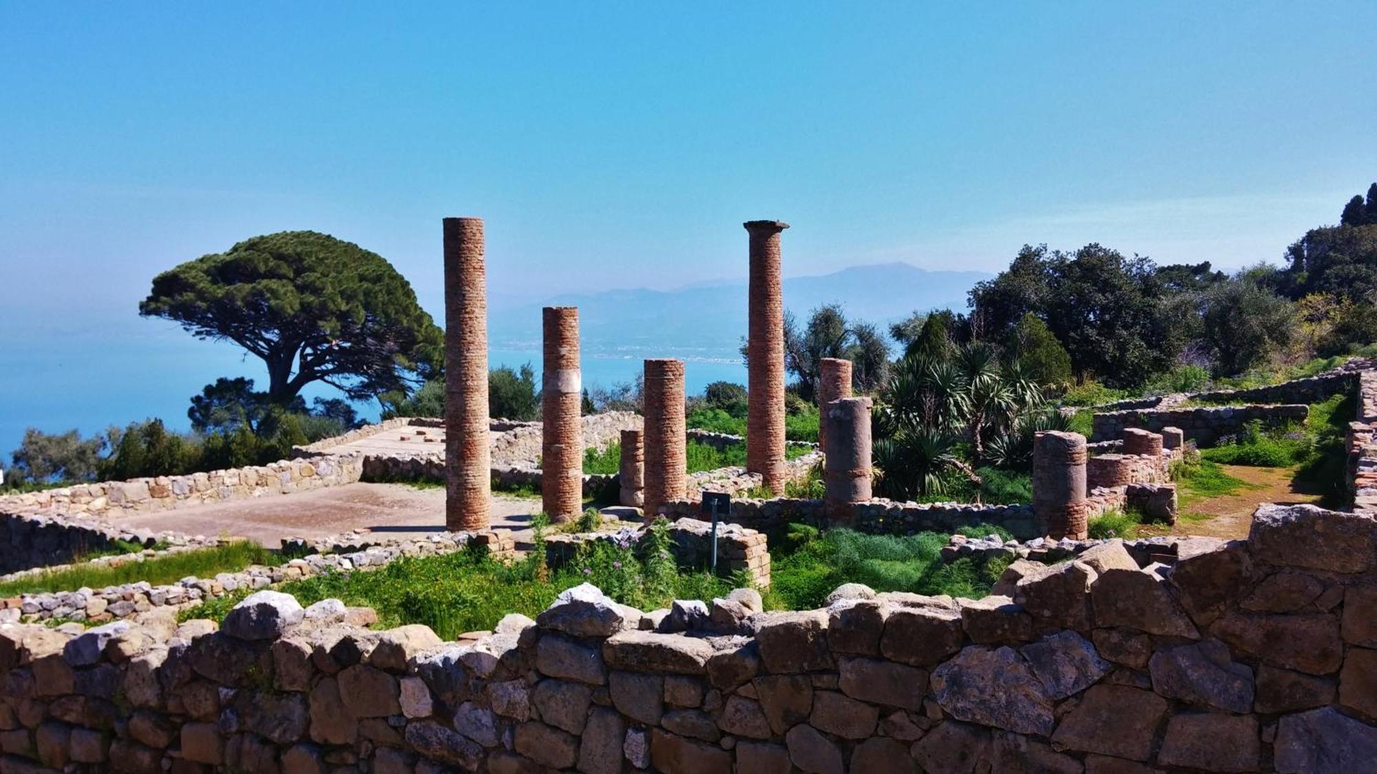 B&B Il Giardino Di Zefiro Gioiosa Marea Exteriör bild